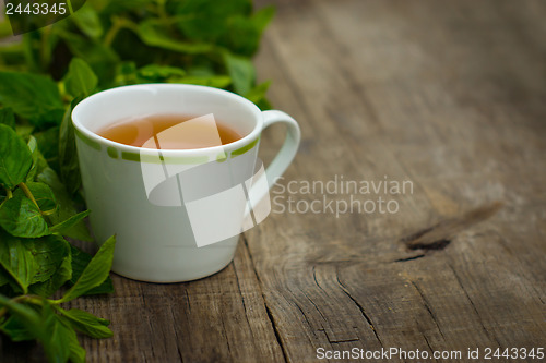 Image of Mint Tea