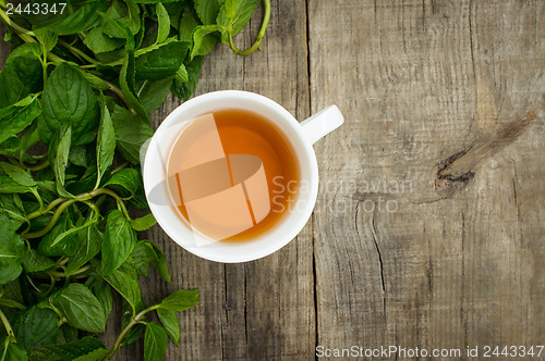 Image of Mint Tea