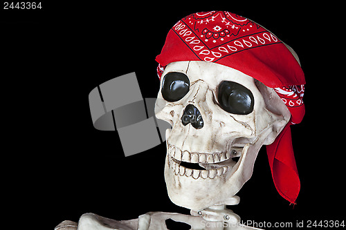 Image of Biker Skeleton