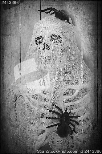 Image of Creepy Halloween Skeleton