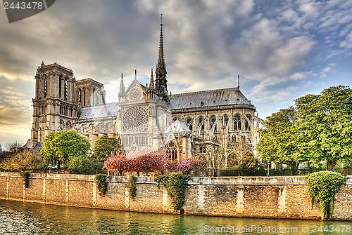 Image of Notre Dame de Paris Cathedral