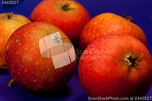 Image of red apples