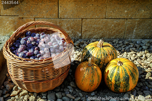 Image of ripe plums in basket