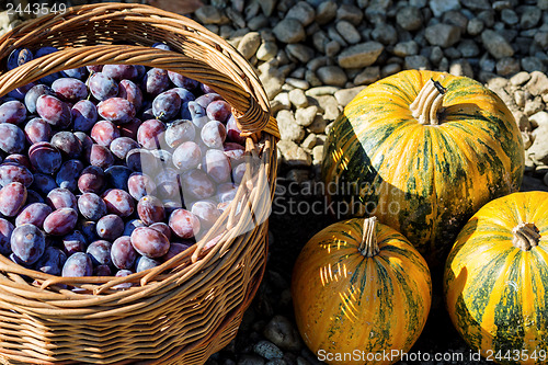 Image of ripe plums in basket