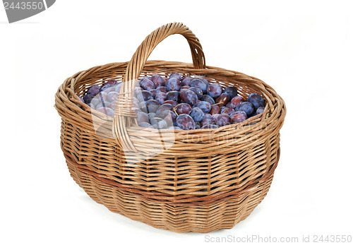 Image of ripe plums in basket