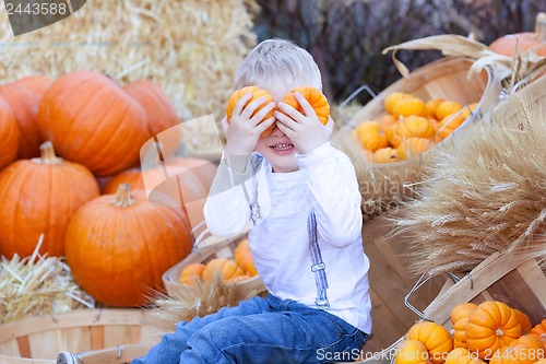 Image of boy at the pumpkin patch