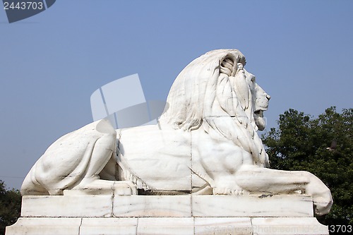 Image of Antique Lion Statue