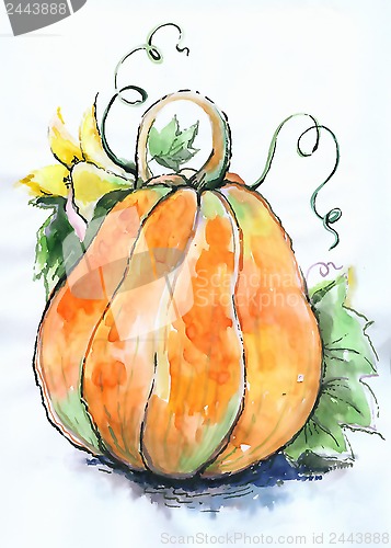 Image of Illustration pumpkin.  