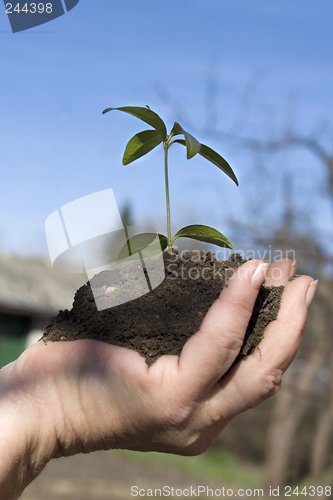 Image of Grow