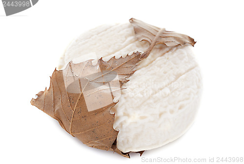 Image of Banon cheese