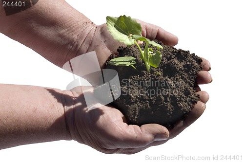 Image of Grow