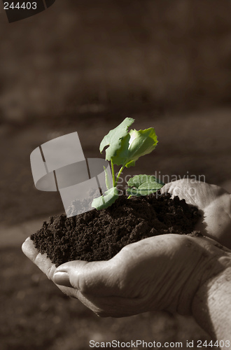 Image of Grow