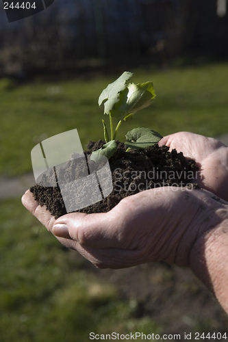 Image of Grow