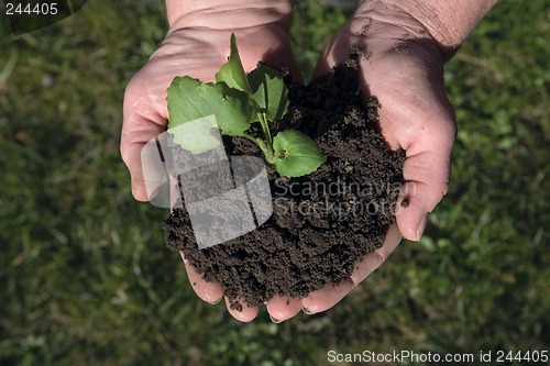 Image of Grow