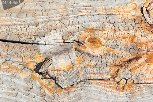 Image of Old wood texture