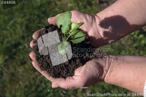 Image of Grow