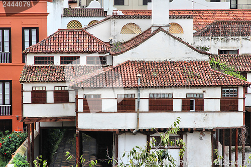 Image of Orotava, Tenerife