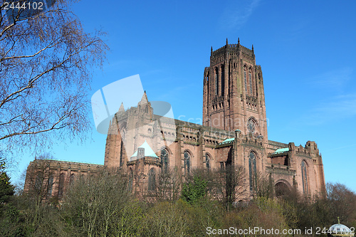 Image of Liverpool cathedral