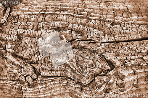 Image of Wood background