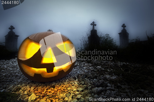 Image of Halloween pumpkin