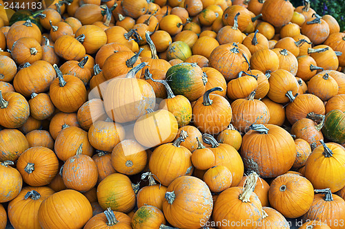 Image of Halloween pumpkins