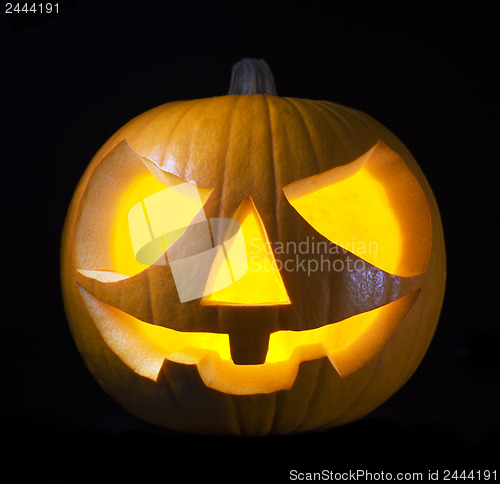 Image of Halloween pumpkin