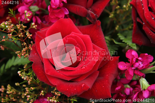 Image of Red and pink bridal flowers