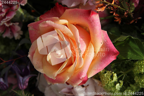 Image of Wedding flowers in various shades of pink