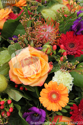 Image of Colorful floral arrangement