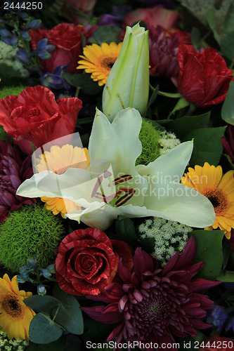 Image of Multicolored bridal bouquet