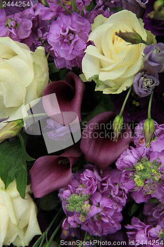 Image of Purple and white bridal arrangement