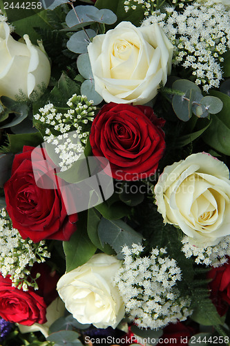 Image of Red and white roses in a bridal bouquet