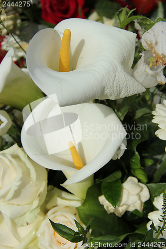 Image of Calla Lily in white arrangement