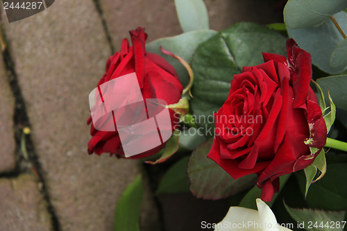 Image of Red roses on pavement