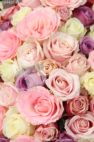 Image of Pastel wedding roses