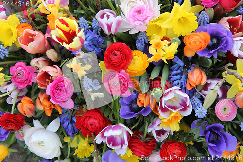 Image of Spring flowers in bright colors