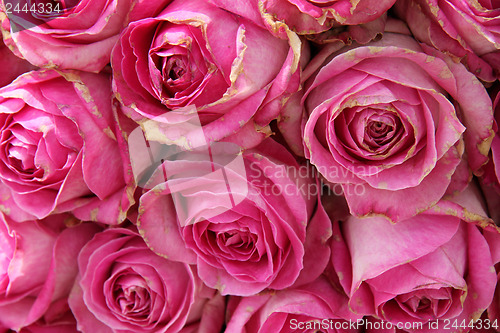 Image of big pink roses in a wedding centerpiece