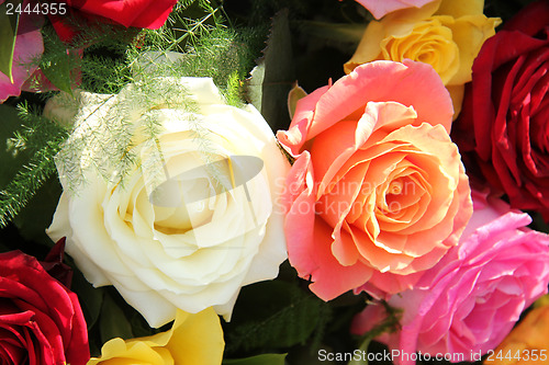 Image of Multicolored roses in flower arrangement