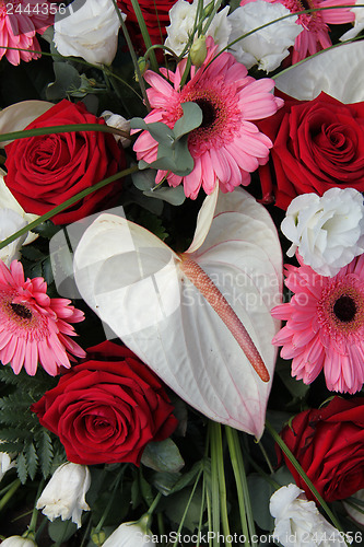 Image of Anthurium, roses and gerberas in a bridal arrangement