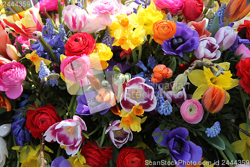 Image of Mixed Spring Flowers