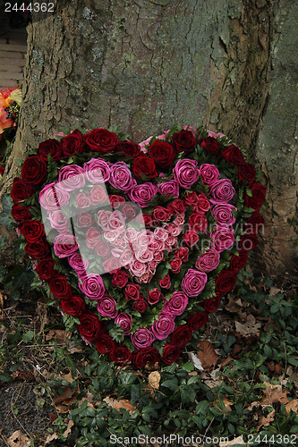 Image of Heart Shaped Sympathy flowers in red and pink