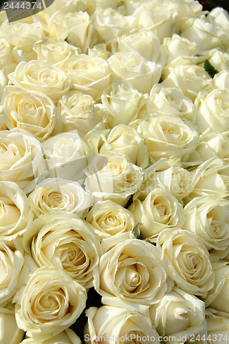 Image of Group of white roses in floral wedding decorations