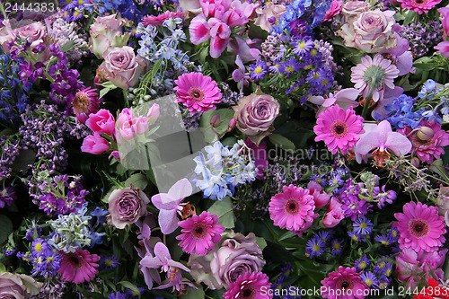 Image of Floral arrangement in pink and blue