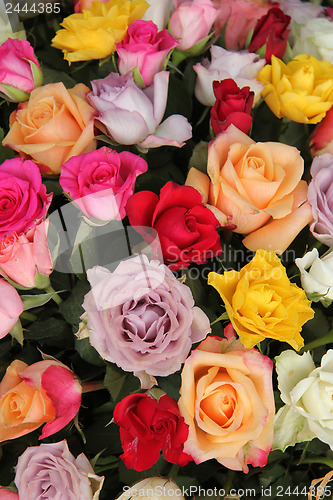 Image of Mixed flower arrangement in bright colors