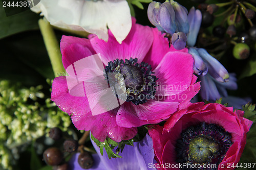 Image of Anemones in bridal arrangement