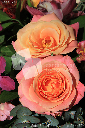 Image of Orchids and roses in bridal bouquet