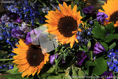 Image of Sunflowers and purple eustoma