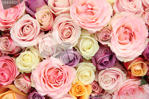 Image of Mixed pastel roses