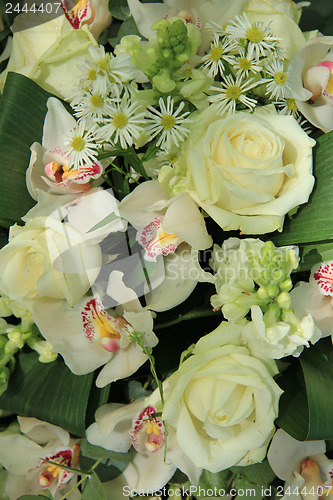 Image of Orchids and roses in bridal bouquet