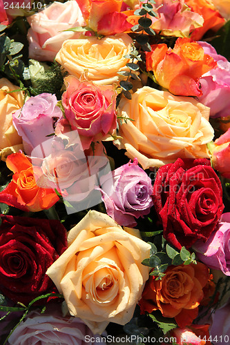 Image of Colorful rose bouquet